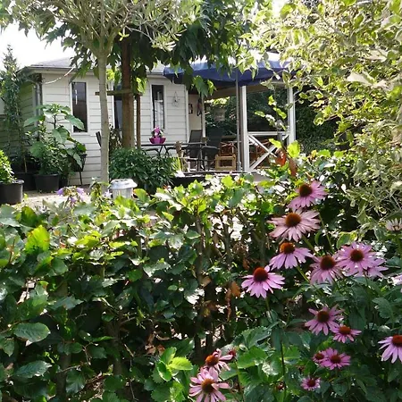 Al Drago Bed and breakfast 3*