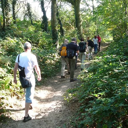 Al Drago Bed and breakfast 3*