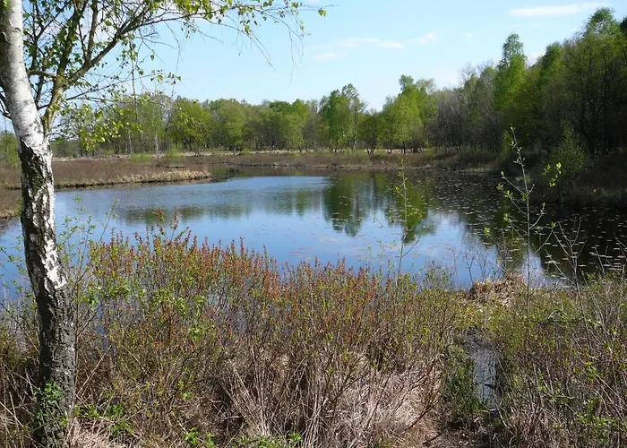 Al Drago Bed & Breakfast 3*