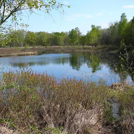 Al Drago Bed & Breakfast 3*