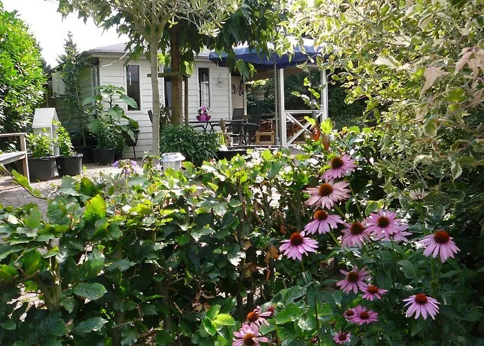 Al Drago Bed & Breakfast 3*