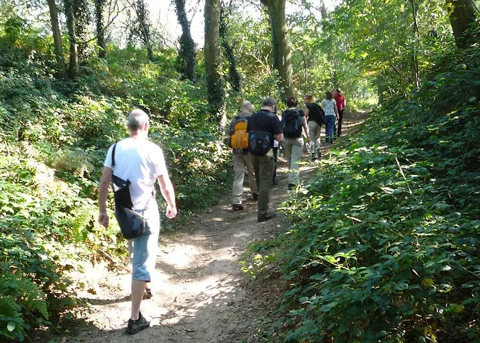 Al Drago Bed & Breakfast 3*